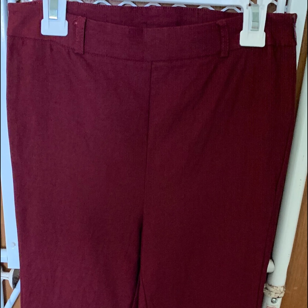 Forever 21 Garnet Colored Skinny Pants